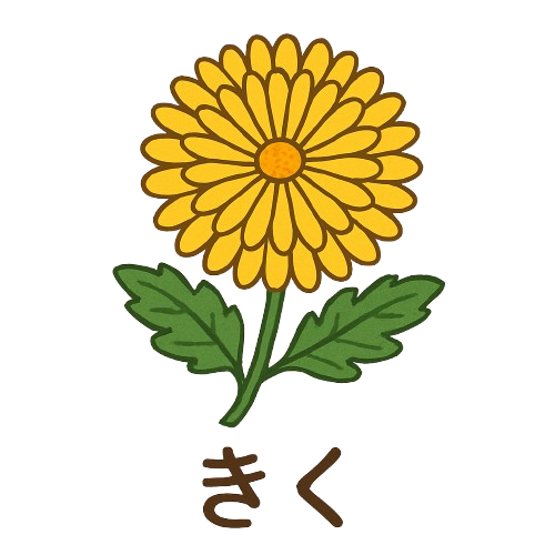kiku